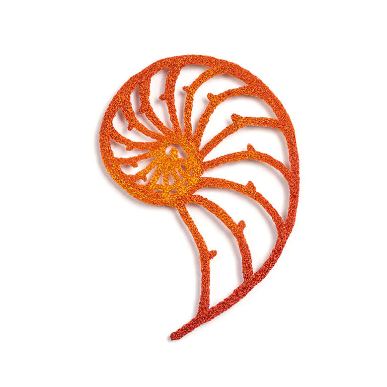 #39 Nautilus internal, Image 3.