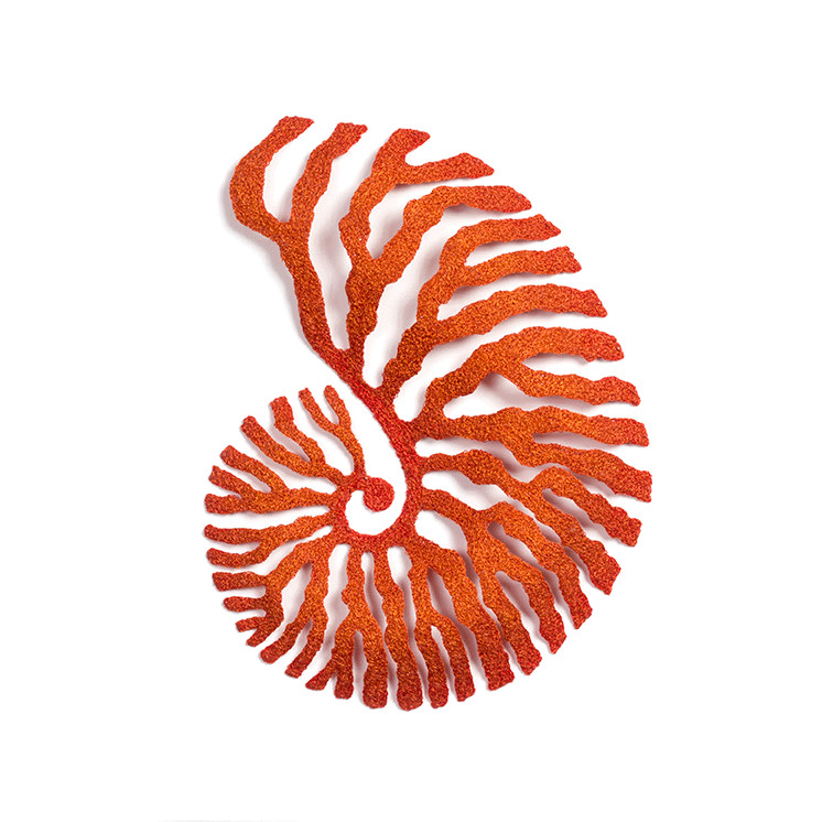 Nautilus by Meredith Woolnough 