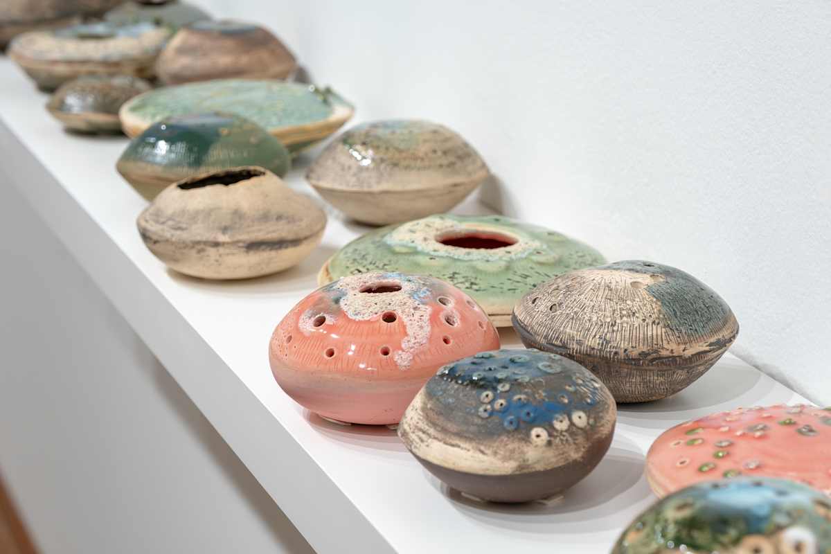 Reef Pods Series by Ana Žanić 