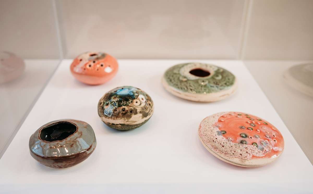 Reef Pod Series by Ana Žanić, Image 12.