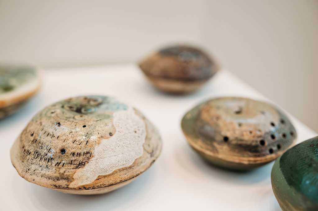 Reef Pod Series by Ana Žanić, Image 10.