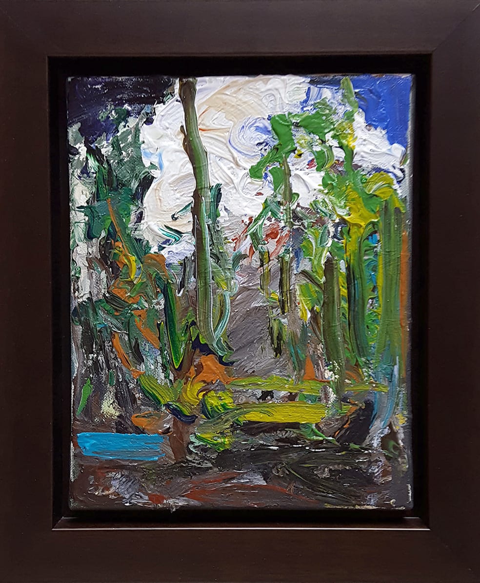 0434 - Forest Interior by Matt Petley-Jones 