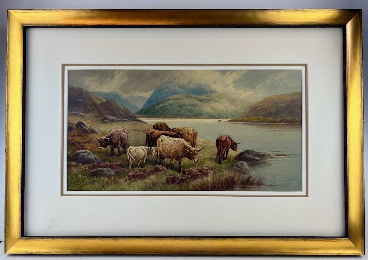 11261 - Steer in Highlands 