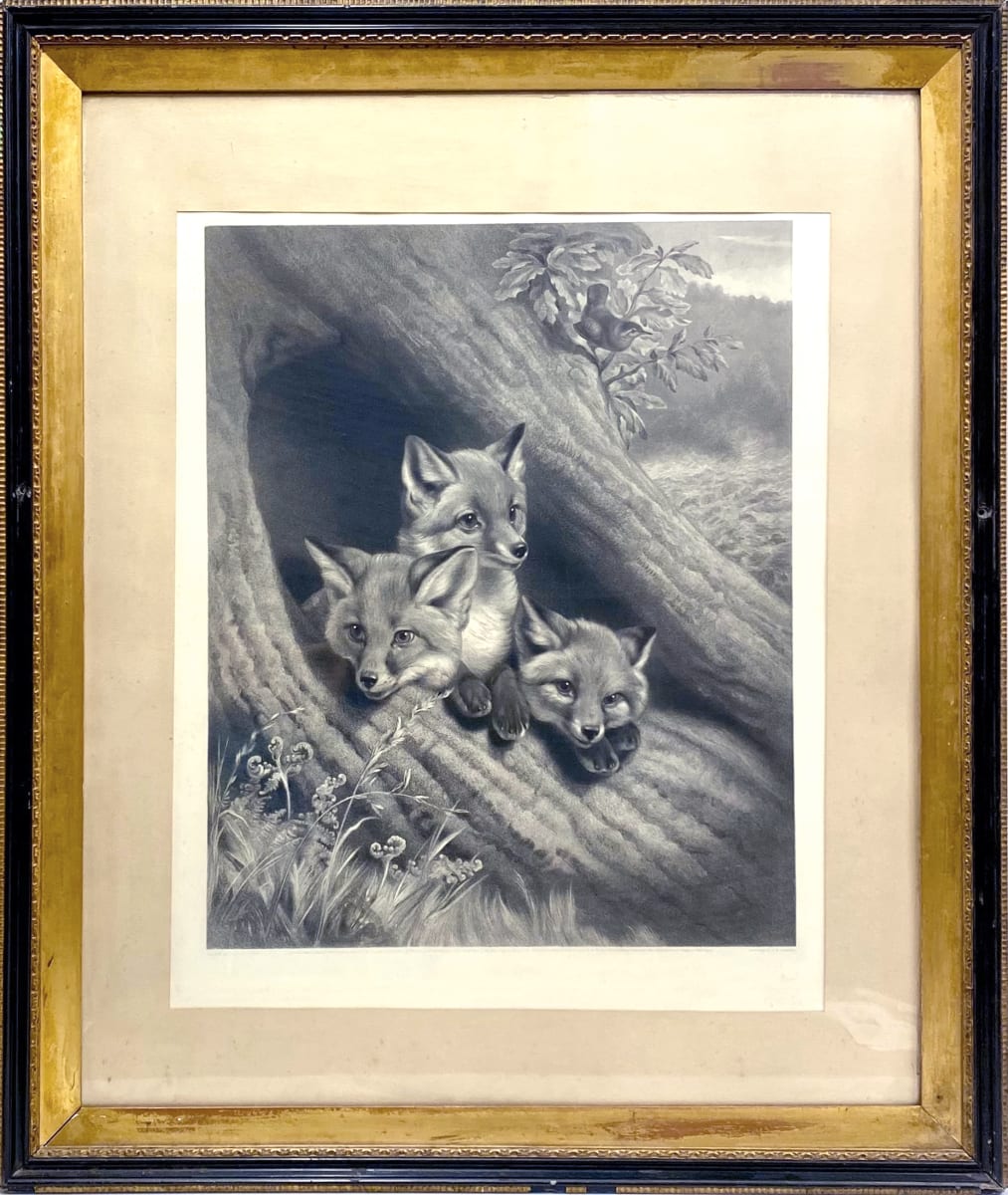 2718 - Three Fox Pups In a Burrow by William Henry Simmons ( 1811 -1882) 