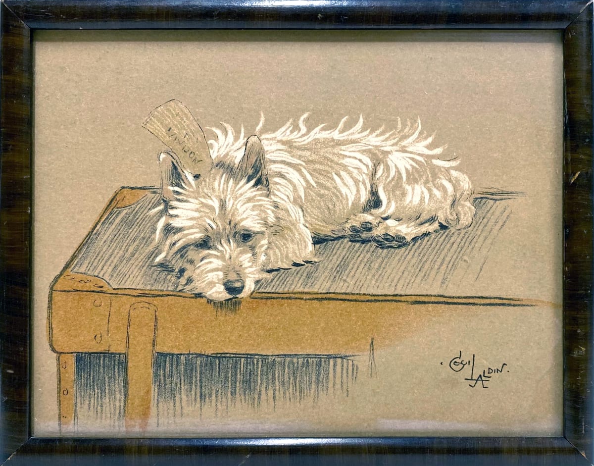 2789 - Dog by Cecil Charles WINDSOR ALDIN (1870 - 1935) 