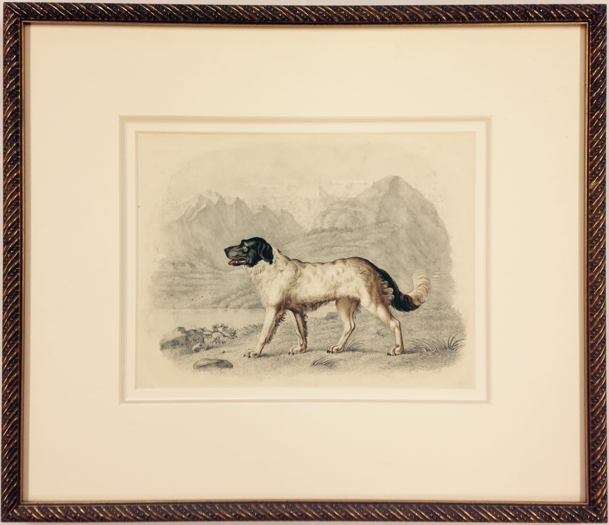 2031 - Dog Portrait by William Gunton 