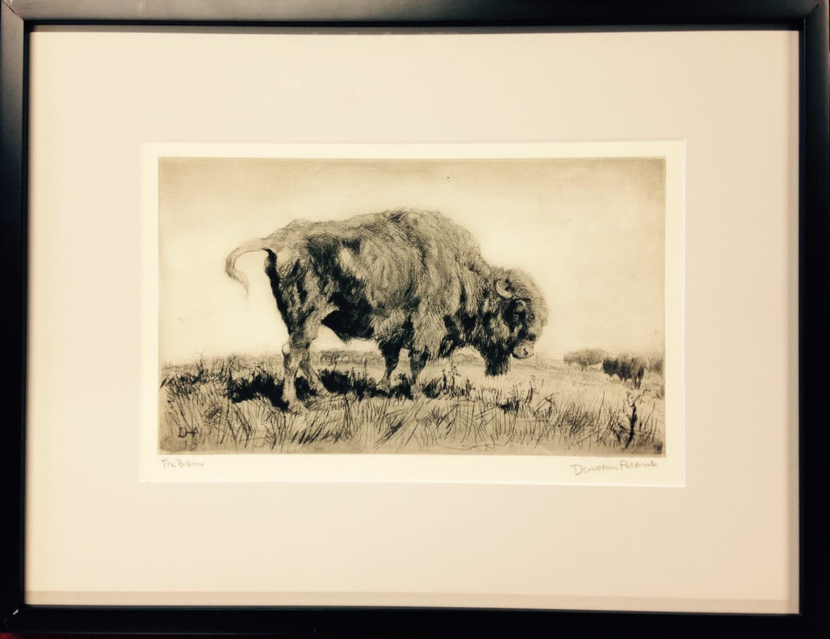 2782 - The Bison 