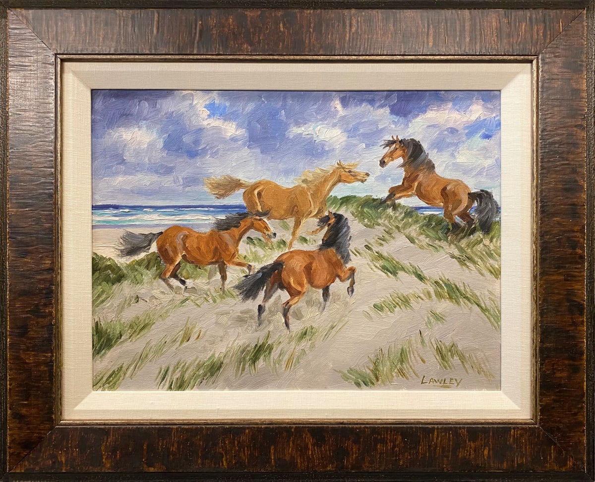 1063 - Ponies Romping on Sable Island 