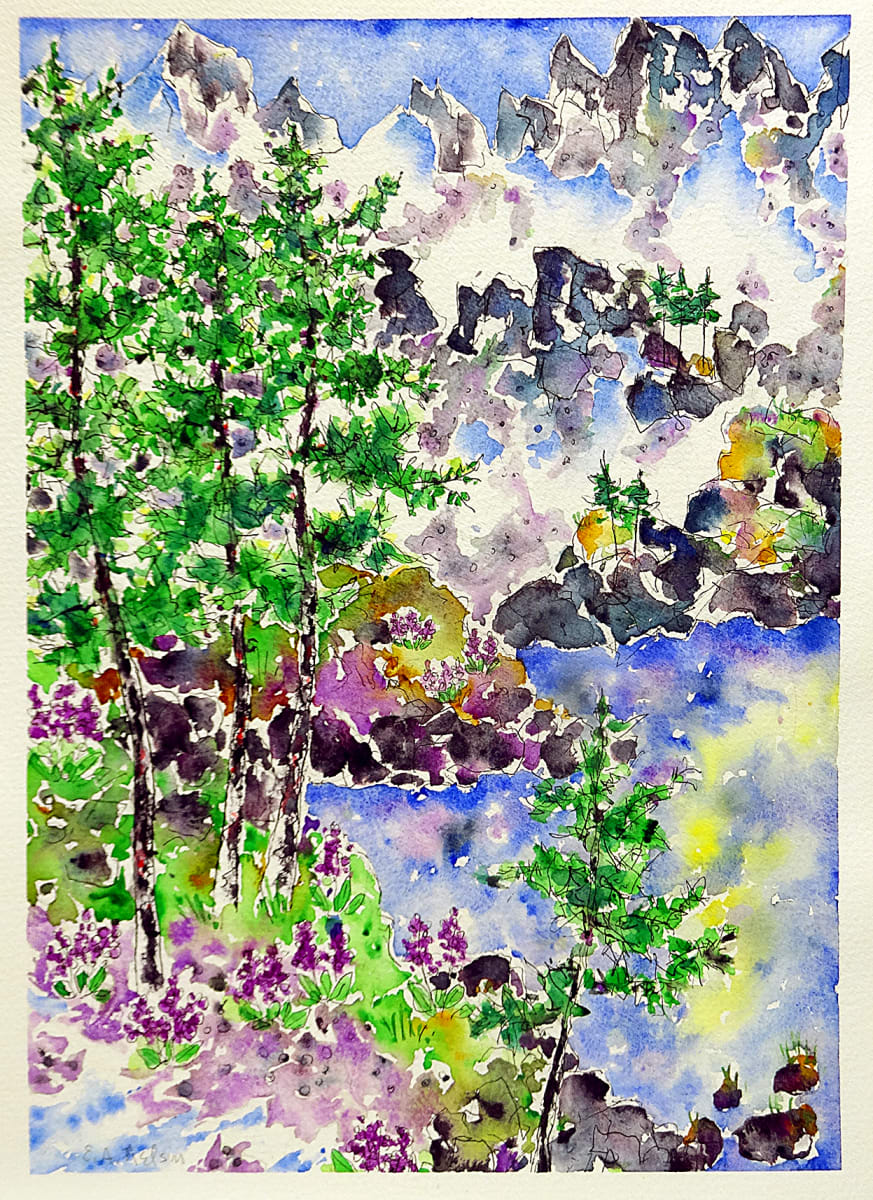 2895 - Lost Lake, July Flowers by Ann Nelson 