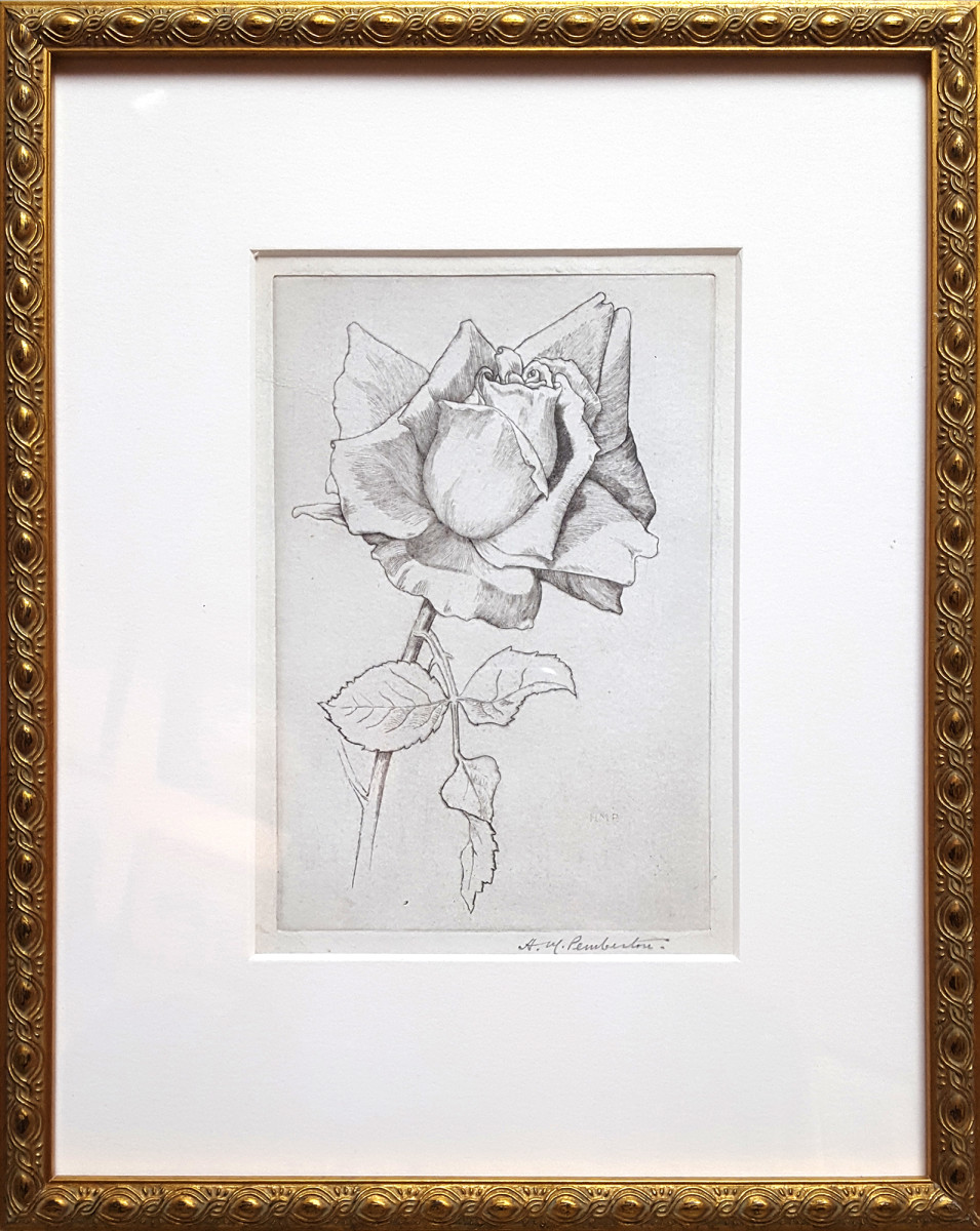2414 - Rose by H.M. Pemberton (1871-1957) 
