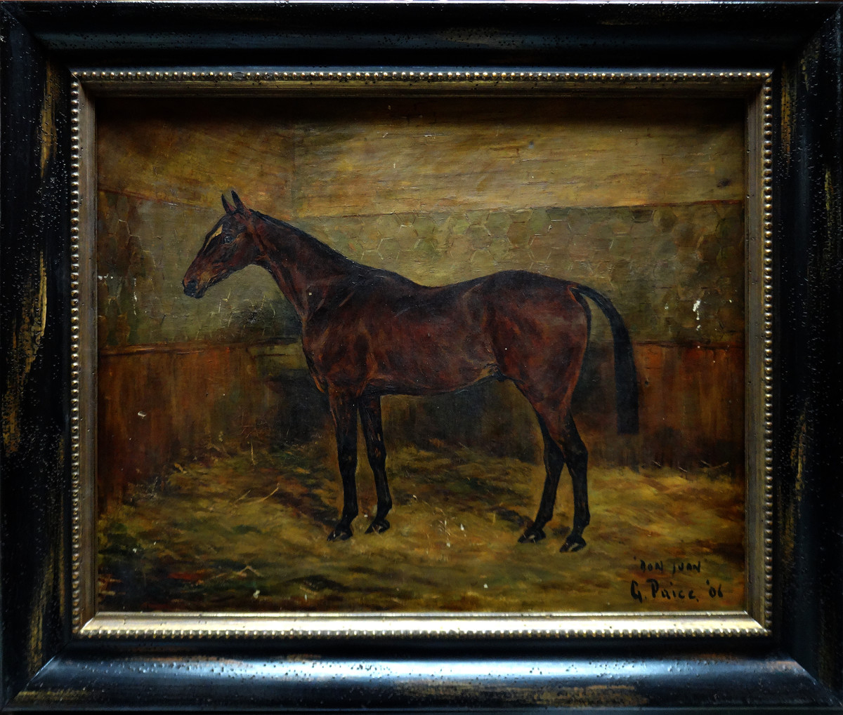 0030 - Portrait of a Horse 'Don Juan' by G Paice 