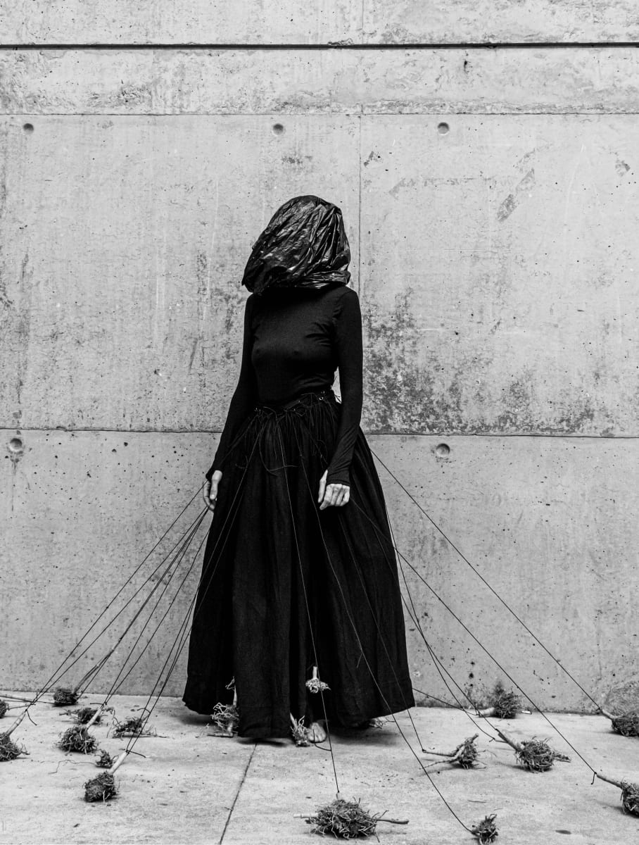 Shouting from the boulders VI 