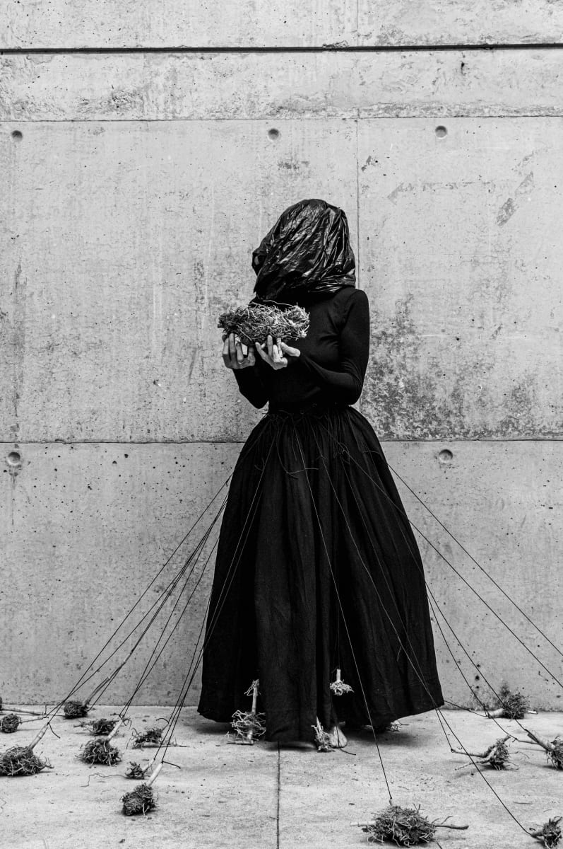 Shouting from the boulders IV 