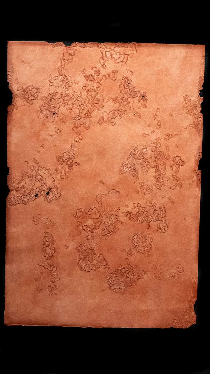 circular orientations by Sonya Rademeyer 