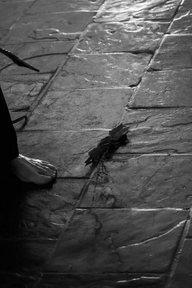 Weeping the World / Grounded by Sonya Rademeyer, Image 17.