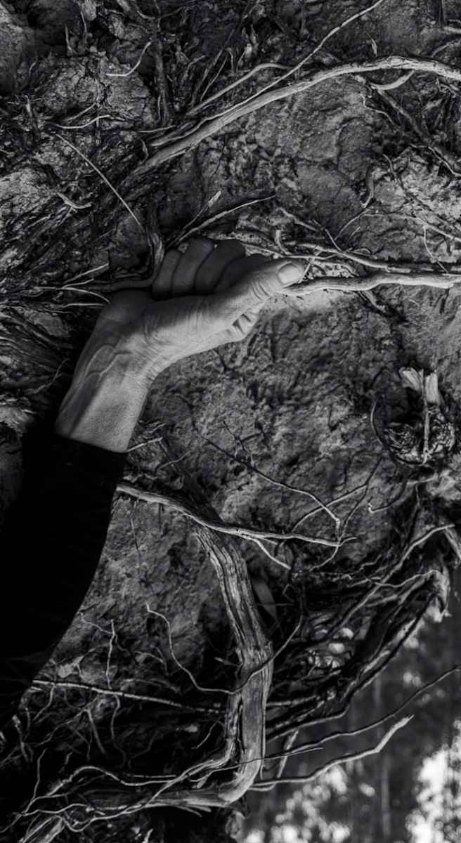 knowing by Sonya Rademeyer 