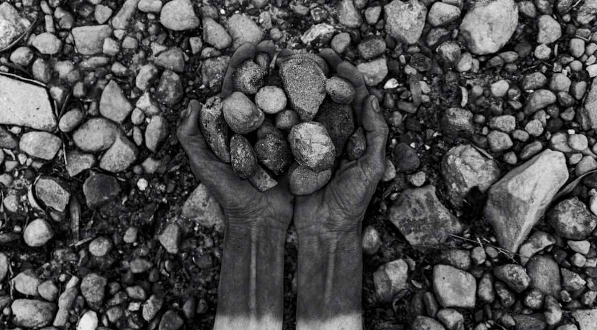 new narratives by Sonya Rademeyer 