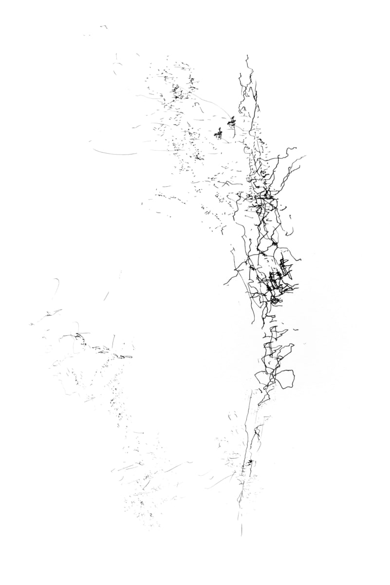 The poet IV, Image 1.