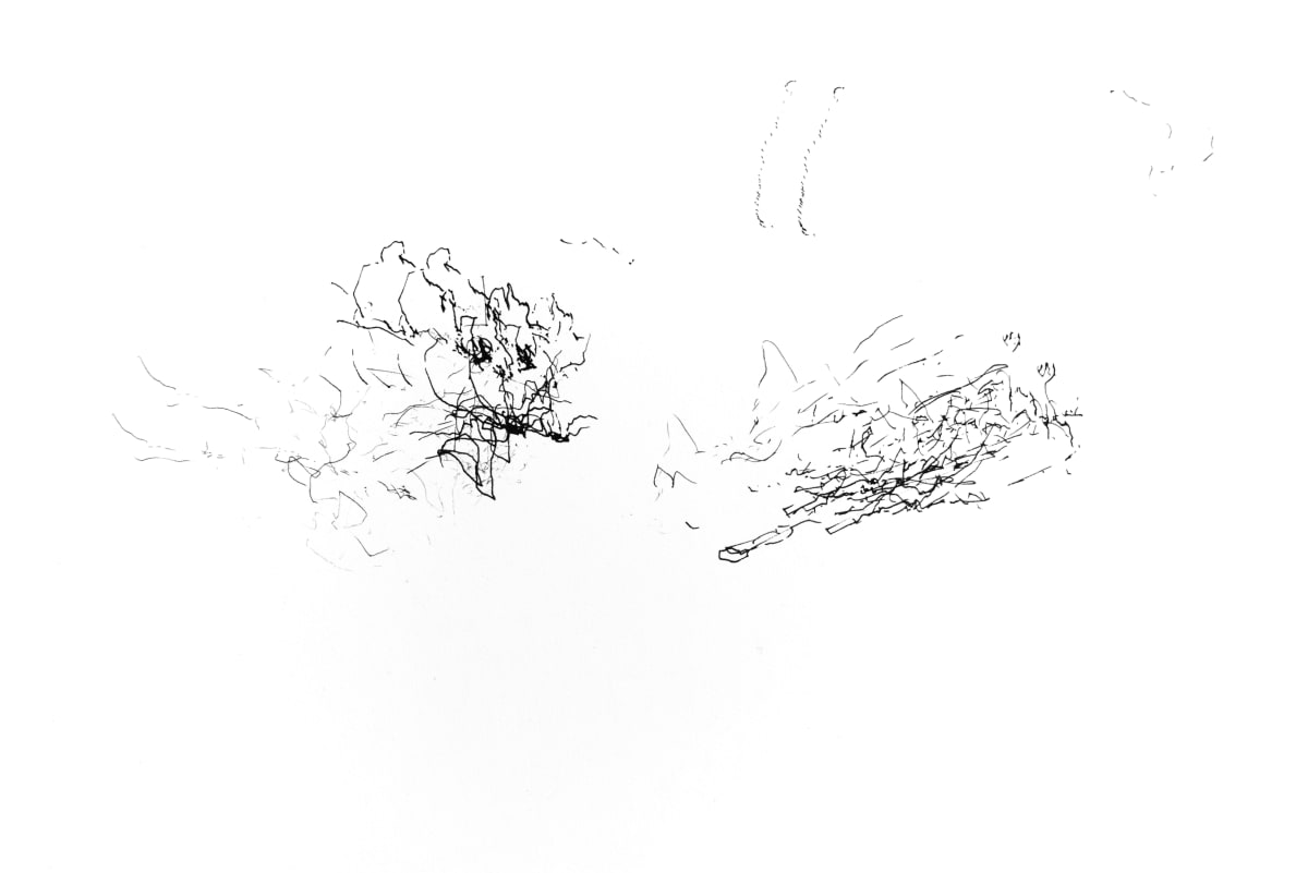 The poet VI, Image 1.