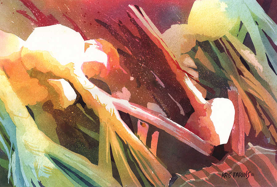 White Onions by Kris Parins 