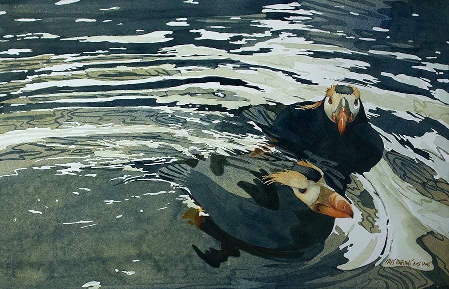 Tufted Puffins II by Kris Parins, Image 7.