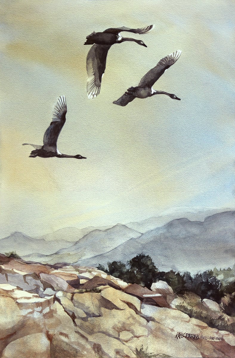 Flyover by Kris Parins 