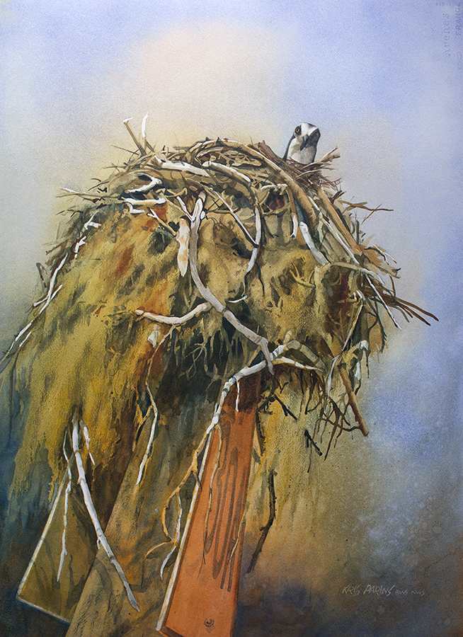 Nesting Osprey by Kris Parins, Image 1.
