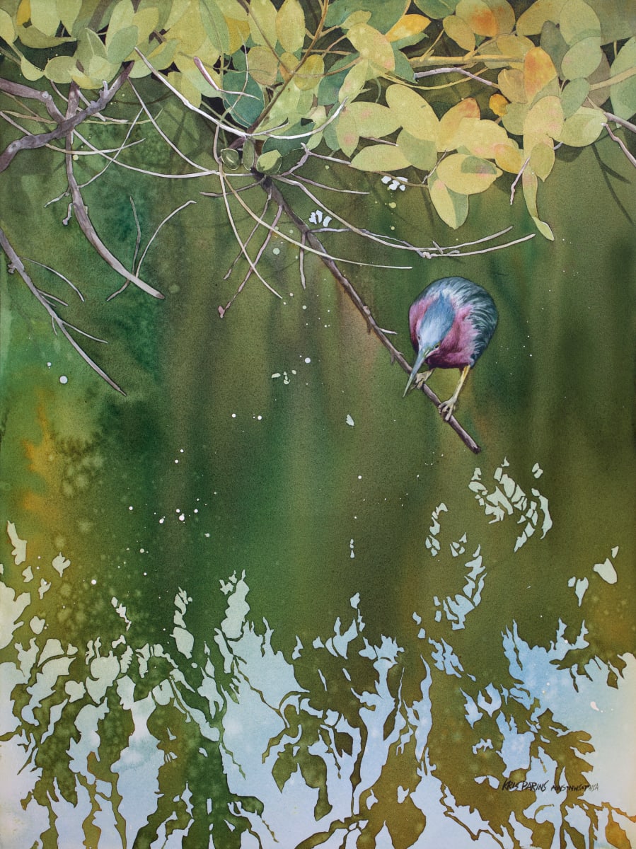 Green Heron, Red Mangrove by Kris Parins 