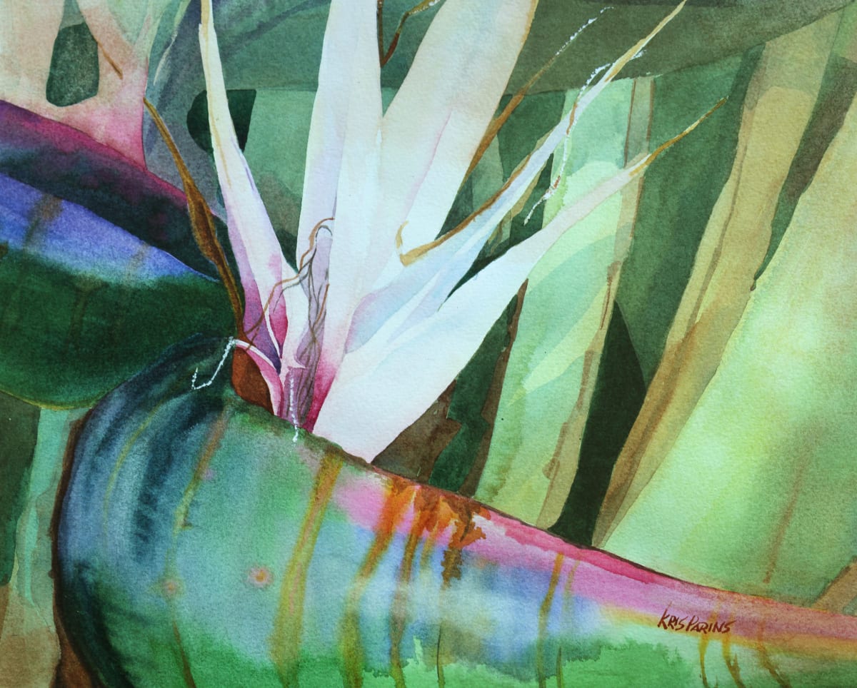 Paradise Found  Image: Bird of Paradise flower detail