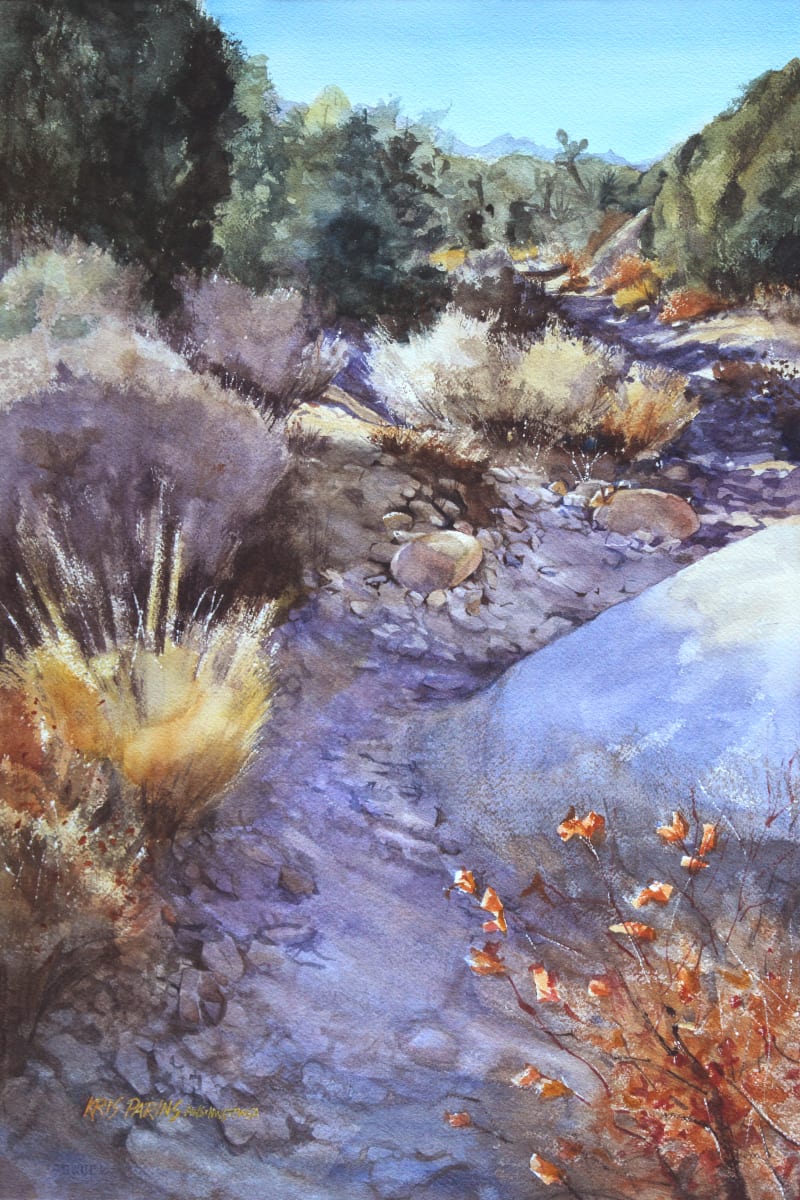 Mojave Passage by Kris Parins 