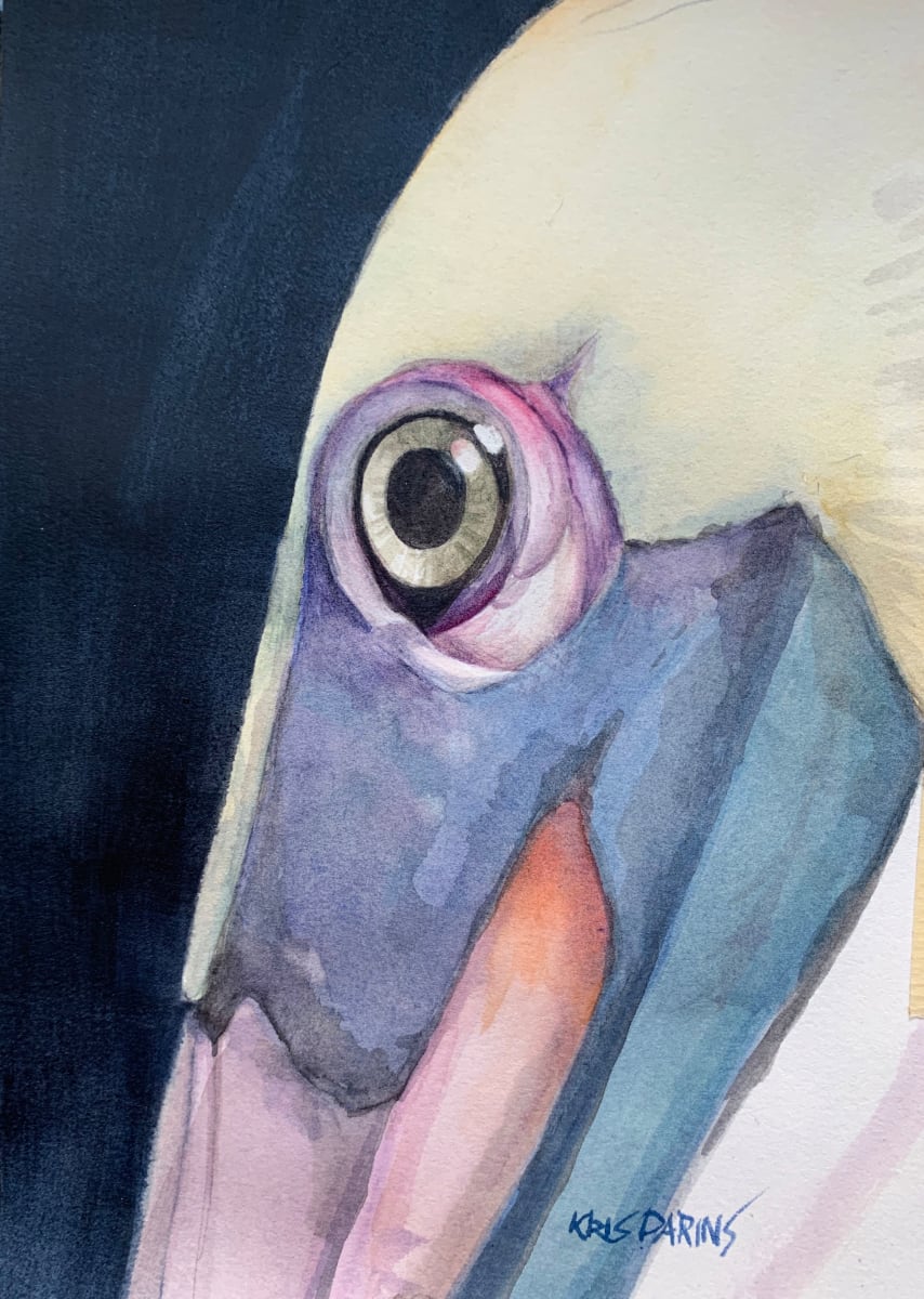 Eye of Pelican by Kris Parins 