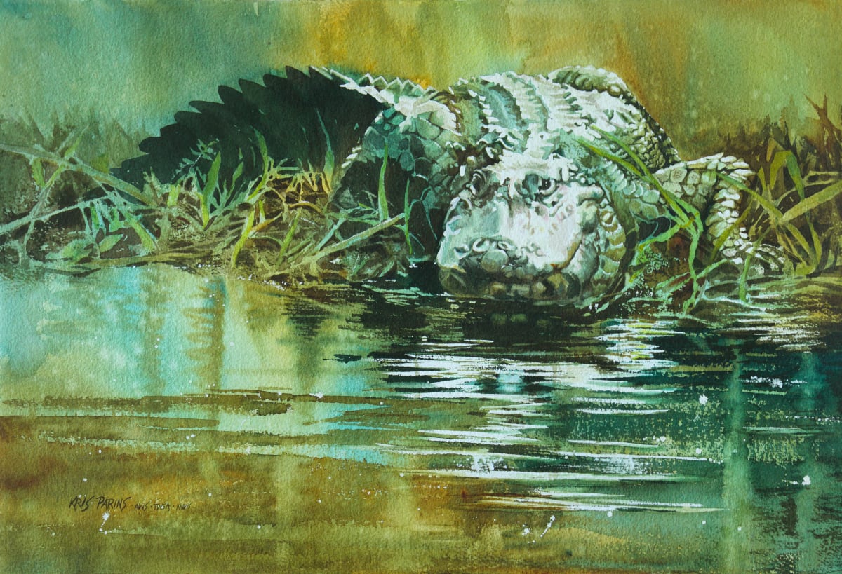 Do Not Disturb by Kris Parins  Image: American Alligator