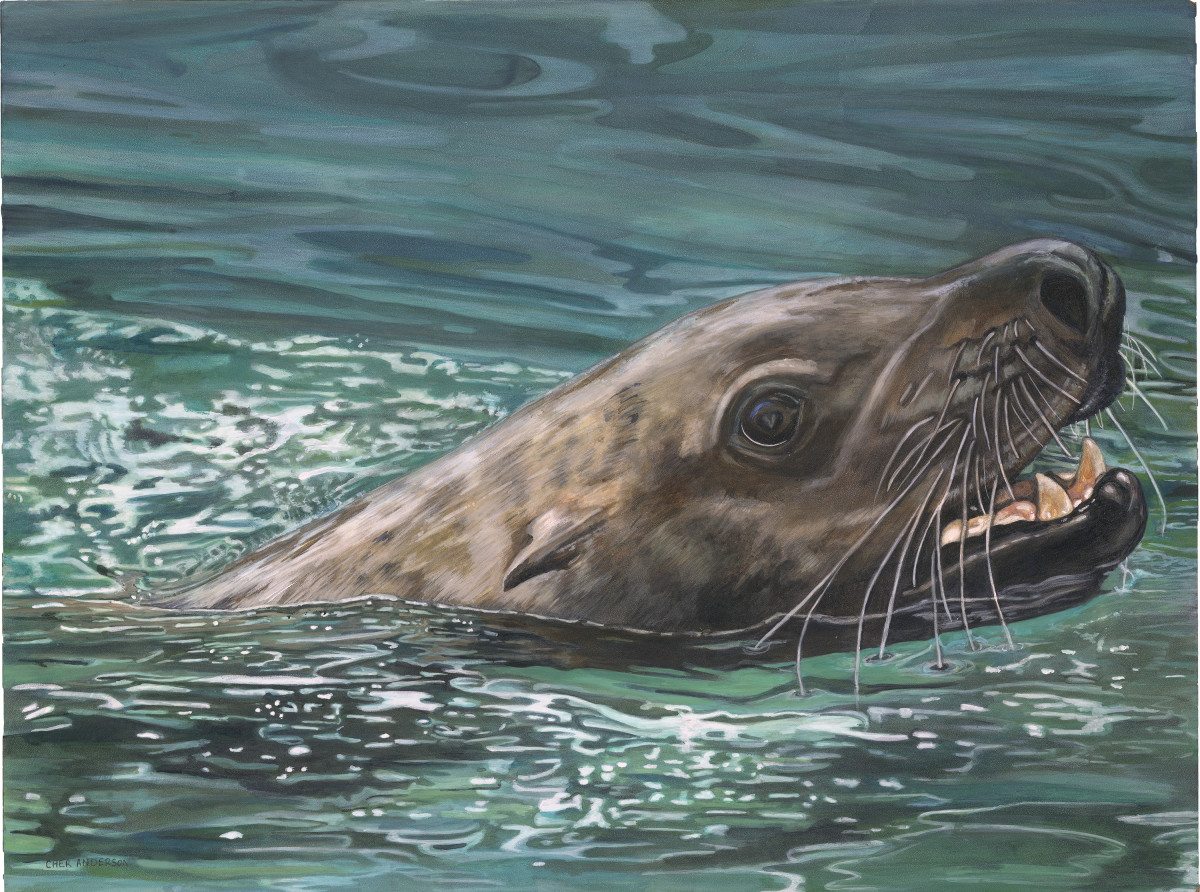 Stellar Appearance by Cher Anderson 