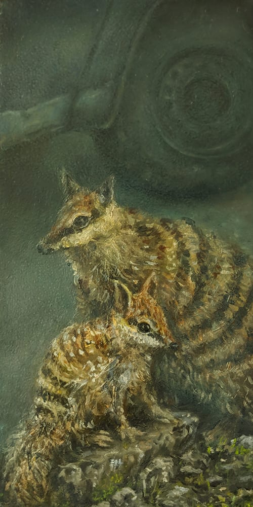 Numbats, Image 1.