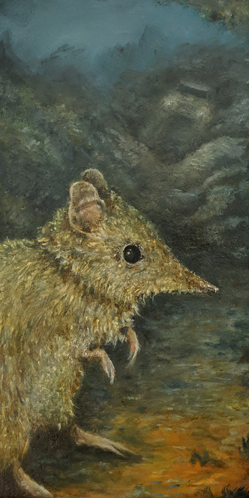 Bandicoot by Marnie Pitts 