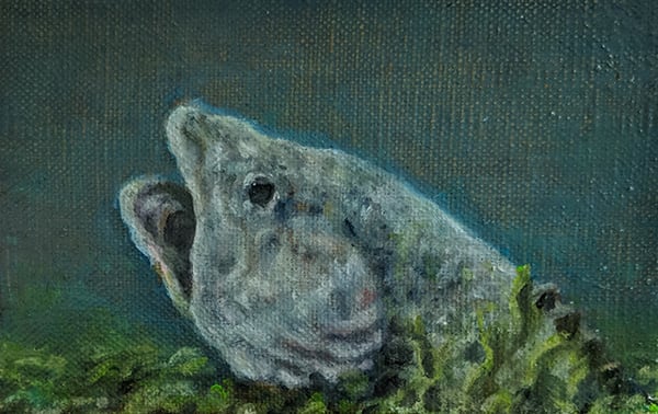 Cod Kill by Marnie Pitts, Image 1.