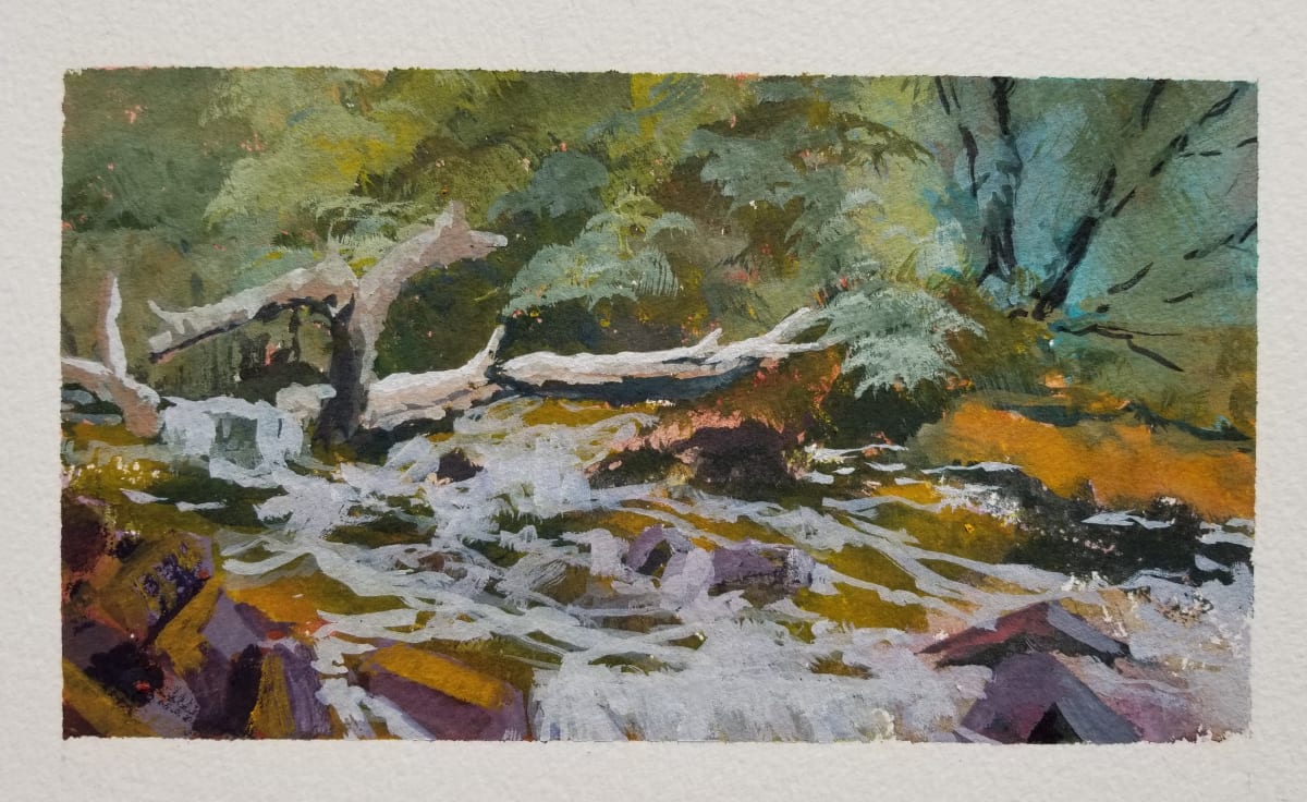 cache la poudre - g1 by david knox 