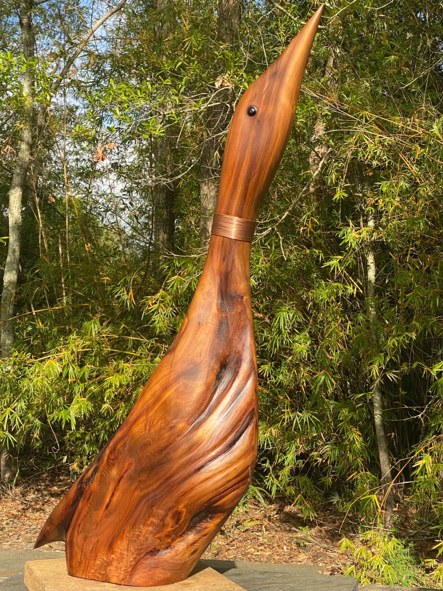 Circle of Life by Rigsby Frederick  Image: Front View