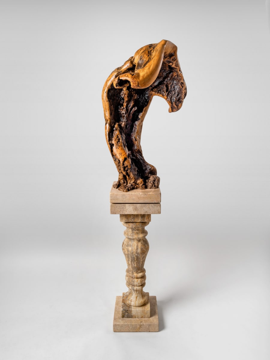Dancer by Rigsby Frederick 