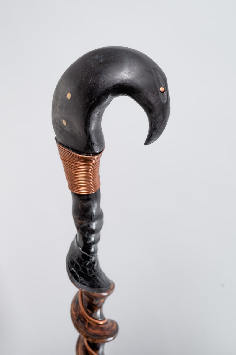 Walking Stick No. 6 by Rigsby Frederick 