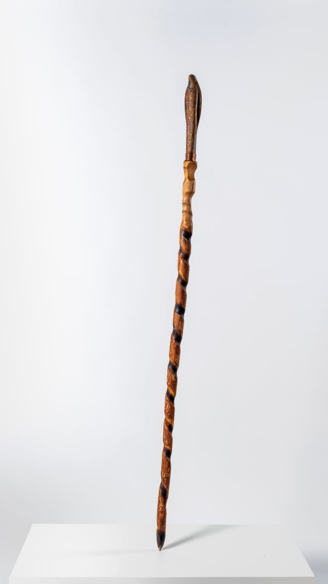 Walking Stick No. 3 by Rigsby Frederick 