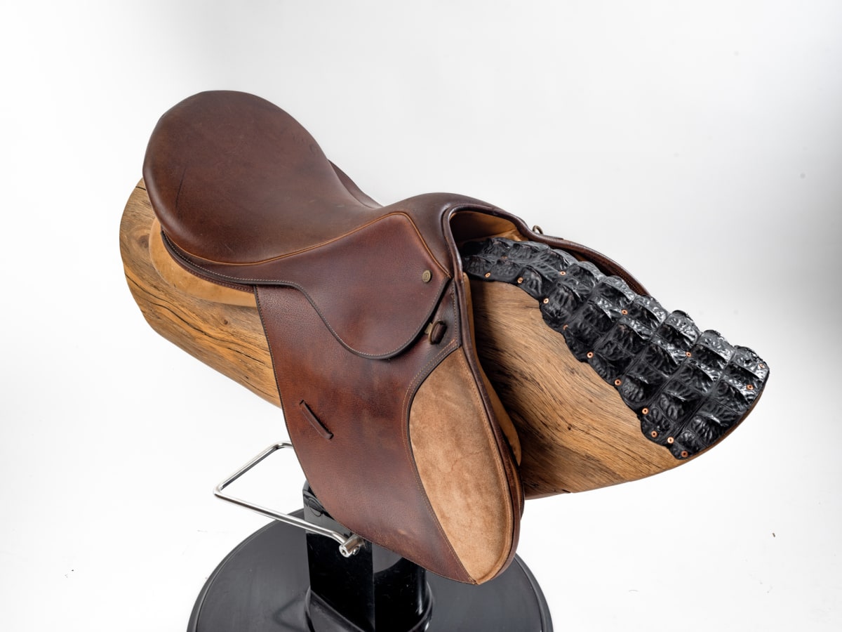 Saddle Series, No. 1 by Rigsby Frederick 