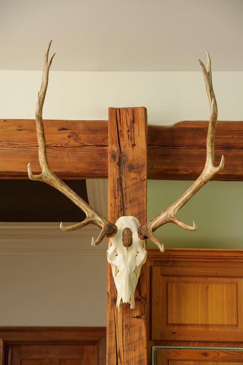 Montana Elk by Rigsby Frederick, Image 1.