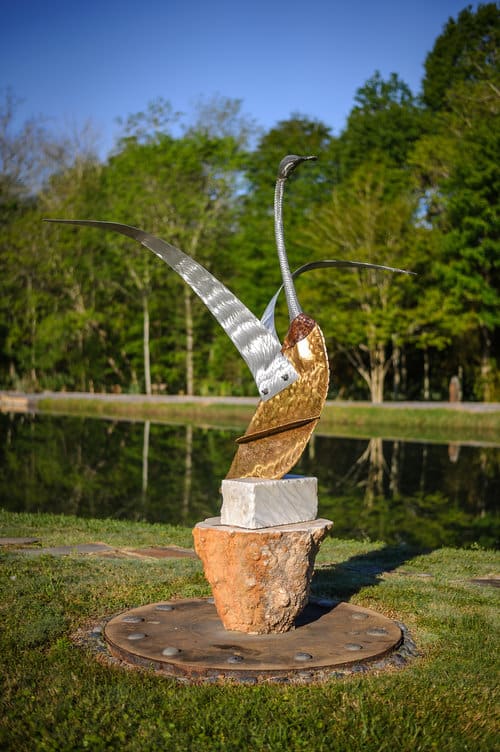 Canadian Swan by Rigsby Frederick, Image 2.
