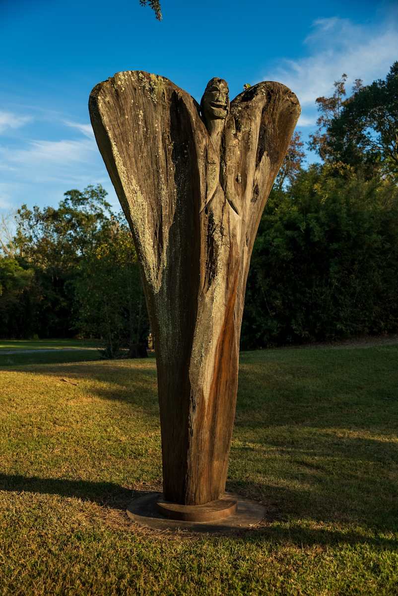 Cypress Angel by Rigsby Frederick 