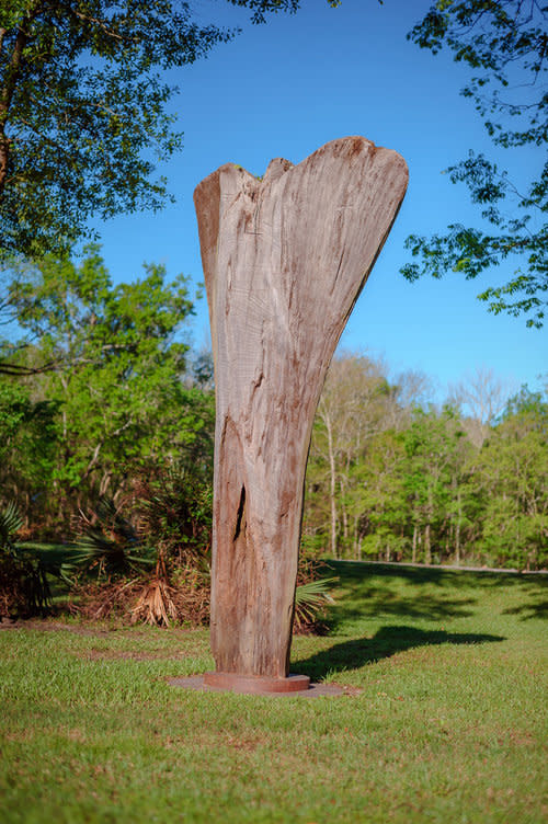 Cypress Maiden by Rigsby Frederick 