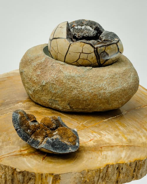 Dragon Septarian Geode by Rigsby Frederick, Image 1.