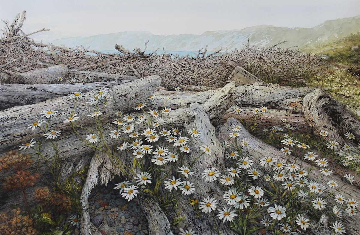 Of Time and Tide by Laurel Lake McGuire  Image: Advocate Harbour facing the Bay of Fundy from south Nova Scotia is a beautiful deserted stretch of beach. 