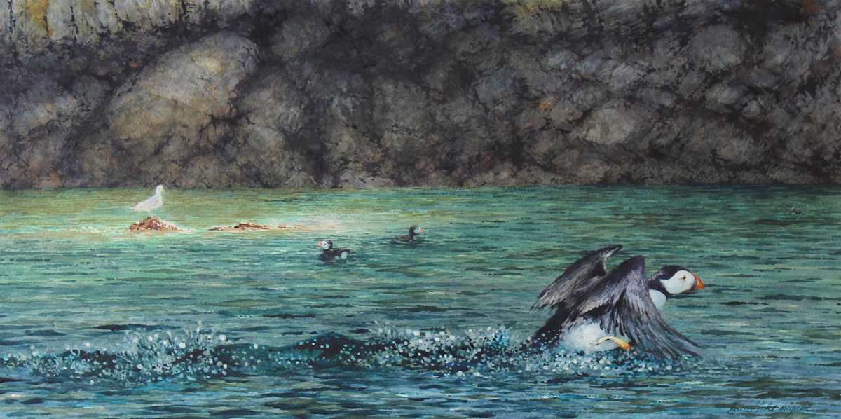 Whatever It Takes by Laurel Lake McGuire  Image: Up close and personal with a puffin taking flight. 