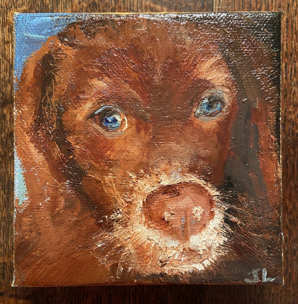 Buddy by Julia Chandler Lawing 